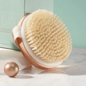 Biossance Dry Brush NEW